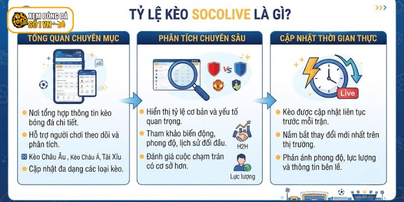 Giới thiệu vài nét về tỷ lệ kèo Socolive